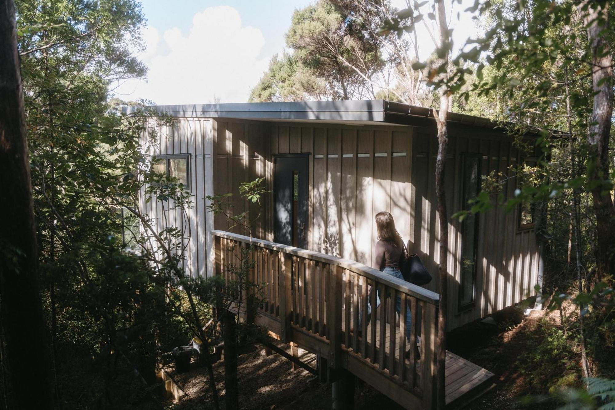 Treetop Tranquility At Rekindle Tree Houses Opua Buitenkant foto
